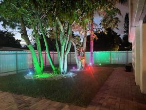 dos árboles iluminados con luces verdes frente a una valla en Mango’s House Close to Beach…Pool, Table Pool en Pompano Beach
