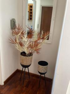 um quarto com duas cadeiras e um vaso de plantas em B&G APART BELGRANO em Río Cuarto