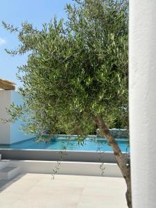 Bazén v ubytovaní Alio Naxos Luxury Suites alebo v jeho blízkosti