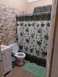 a bathroom with a shower curtain with a toilet at Lovely and cozy 2 bedroom apt with oceanic view in Roger