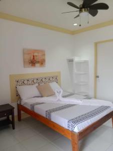 um quarto com uma cama e uma ventoinha de tecto em Bountiful Inn em Puerto Princesa