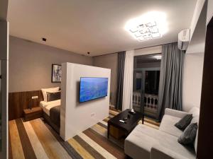 Hotelzimmer mit Sofa und TV in der Unterkunft Tumanyan Apartments in Yerevan