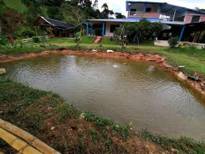 Billede fra billedgalleriet på Reserva Natural Cascadas de Padilla i Lérida
