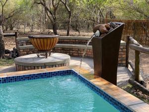 a pool with a water fountain with a teddy bear sitting on a bench at Kudu Mal in Marloth Park