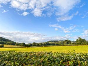un campo verde con cielo azul y nubes en Cuckoo Lodge - Uk42541 en Winforton