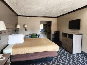 um quarto de hotel com uma cama e uma televisão de ecrã plano em Executive inn em Oklahoma City
