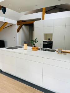 una cocina con armarios blancos y una planta en un mostrador en Traumvilla im Herzen Hainichens en Hainichen