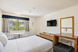 Cette chambre comprend un lit, un bureau et une table. dans l'établissement DOWNTOWN SLO INN - SAN LUIS OBISPO, à San Luis Obispo