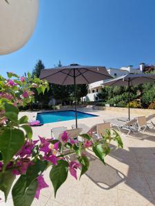 una piscina con sedie, ombrelloni e fiori viola di Villa Penelope a Douliana