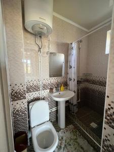 a bathroom with a toilet and a sink at Гостевой дом RAZAM in Bosteri