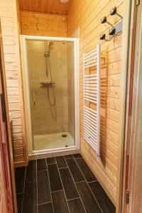 baño con ducha y puerta de cristal en Oreeduloup Chalet Grand Loup 14/16 pers., en Le Dévoluy