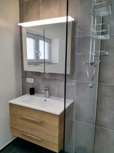 uma casa de banho com um lavatório e um chuveiro com um espelho. em Ferienwohnung im Mittelpunkt em Nortorf