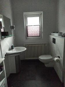 a bathroom with a toilet and a sink and a window at Ferienhaus Dinger in Rüssingen +8 photos