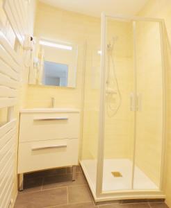 bagno con doccia e lavandino di Tres Vents del Roser a Prats-de-Mollo-la-Preste
