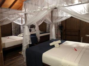 two beds in a room with white drapes at Galaxy View Homestay Sigiriya in Sigiriya