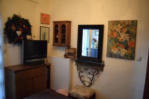 uma sala de estar com um espelho e uma televisão em Helen's Cozy Apartment em Litochoro
