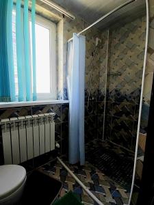 y baño con ducha y aseo. en B&B, Khiva ,, Abdullah " in ichan Kala, en Khiva