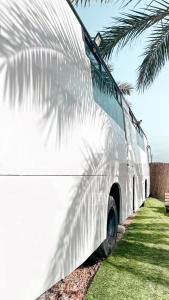 Leobus-לאו באס في Menaẖemya: حافلة بيضاء متوقفة بجوار نخلة