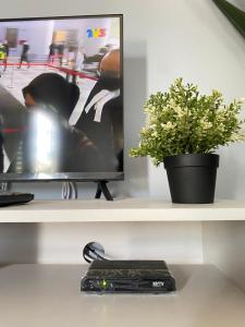 uma prateleira com uma televisão e um vaso de plantas sobre ela em RUMAH INAP 09 em Arau