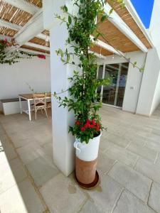 Fotografie z fotogalerie ubytování Fantastica casa in stile mediterraneo - Al Ficodindia v destinaci Torre San Giovanni Ugento + 31 fotografií