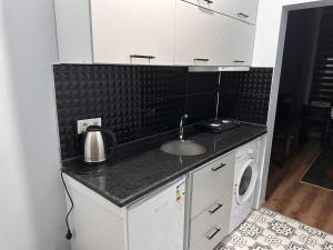 伊斯坦堡的住宿－Red 8 Suite FLR1，厨房配有水槽和洗衣机