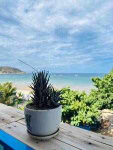 a potted plant sitting on a table near the beach at Cá Mặn Homestay in Quy Nhon