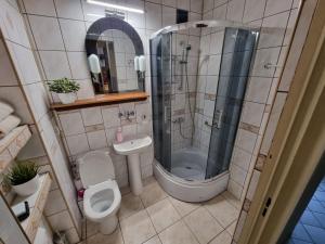 a bathroom with a shower and a toilet and a sink at Wczasy-Leba in Wicko