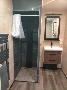 a bathroom with a shower with a sink and a mirror at Appartement tout confort in Guipry-Messac