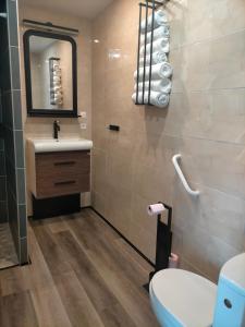 a bathroom with a sink and a toilet and a mirror at Appartement tout confort in Guipry-Messac