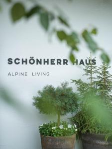 twee potplanten met de woorden Southern Hawk album living bij Schönherr Haus in Neustift im Stubaital
