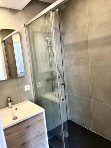 een douche met een glazen deur in de badkamer bij Emma CLIM Proche Hôpital in La Tronche