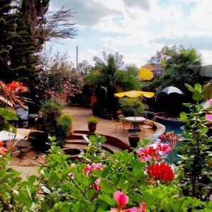 ogród z kwiatami, stołami i parasolami w obiekcie The quaint cottage with a pool w mieście Naivasha