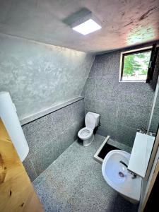 a bathroom with a toilet and a sink at Woodland Brezna in Plužine