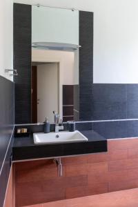 uma casa de banho com um lavatório e um espelho em Maison Cècile Appartamento in villa. Host Marianna em Agliè