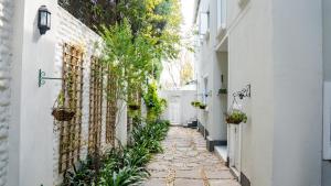 an alleyway between two white buildings with potted plants at 3 on Tessa Guesthouse in Johannesburg