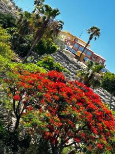 een bos van rode bloemen op een heuvel met bomen bij Villa Natali ,Luxury 3-levels large villa on Tenerife, ocean view, private poo l& barbecue area in Adeje