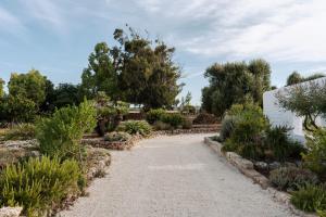 a gravel path in a garden with trees and bushes at Masseria Gorgognolo in Ostuni