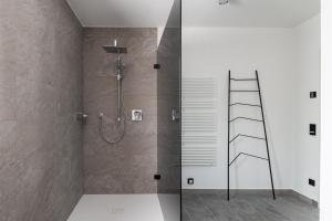 a bathroom with a shower with a ladder in it at Kaisigen43 in Steinbach am Attersee