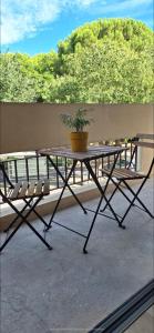 een tafel en een stoel met een potplant op een balkon bij T2 Echappée Marine in Balaruc-les-Bains