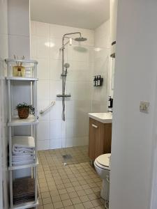 uma casa de banho com um chuveiro e um WC. em Appart Cozy CDG, Paris, Disney, Parc Expo, Astérix em Dammartin-en-Goële