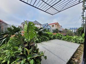 a garden with plants and a walkway at Noi Bai Flight Path Homestay in Hanoi