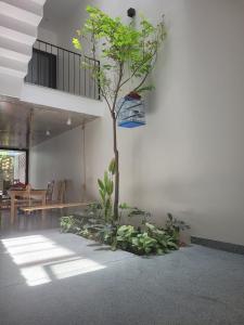 Fotografie z fotogalerie ubytování Noi Bai Flight Path Homestay v Hanoji