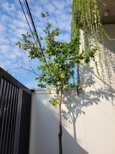 Fotografie z fotogalerie ubytování Noi Bai Flight Path Homestay v Hanoji