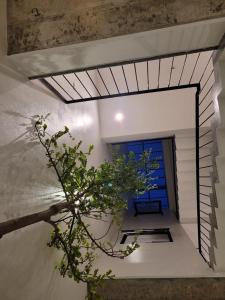 Fotografie z fotogalerie ubytování Noi Bai Flight Path Homestay v Hanoji