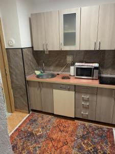 une cuisine avec évier et four micro-ondes sur un comptoir dans l'établissement Apartment DELS, à Zenica