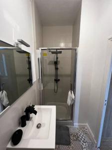 a bathroom with a sink and a shower at Appartement T2 avec terrasse proche cathédrale in Bourges