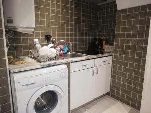eine Küche mit einer Waschmaschine und einem Waschbecken in der Unterkunft STUDIO MADALENA in Lissabon