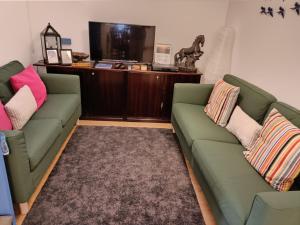 sala de estar con 2 sofás verdes y TV en Casa dos Pedro´s en Vila Nova