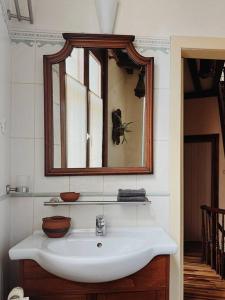 een badkamer met een wastafel en een spiegel bij Romantic Unesco Medieval House in the City Center in Gent