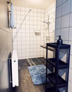 ein Badezimmer mit einem WC und einem blauen Teppich in der Unterkunft Colorful Coziness City Apartment in Gent